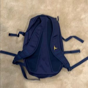 michigan jordan backpack